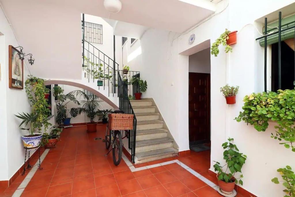 Kinahouse Daire Cordoba Dış mekan fotoğraf
